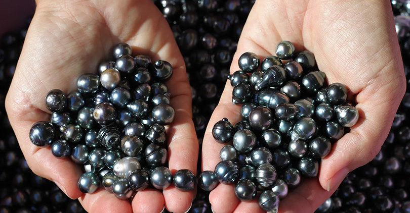 Black Pearls Meaning, Properties, and Intriguing Facts-1.jpg